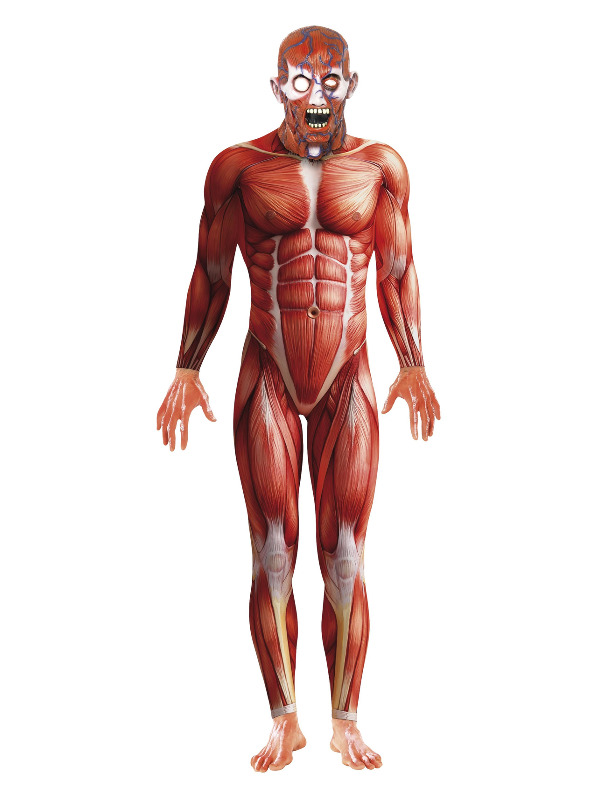 Anatomy Man Costume, Red