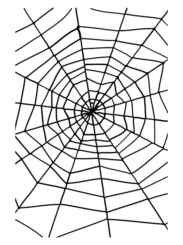 Spider & Spiders Web, Black