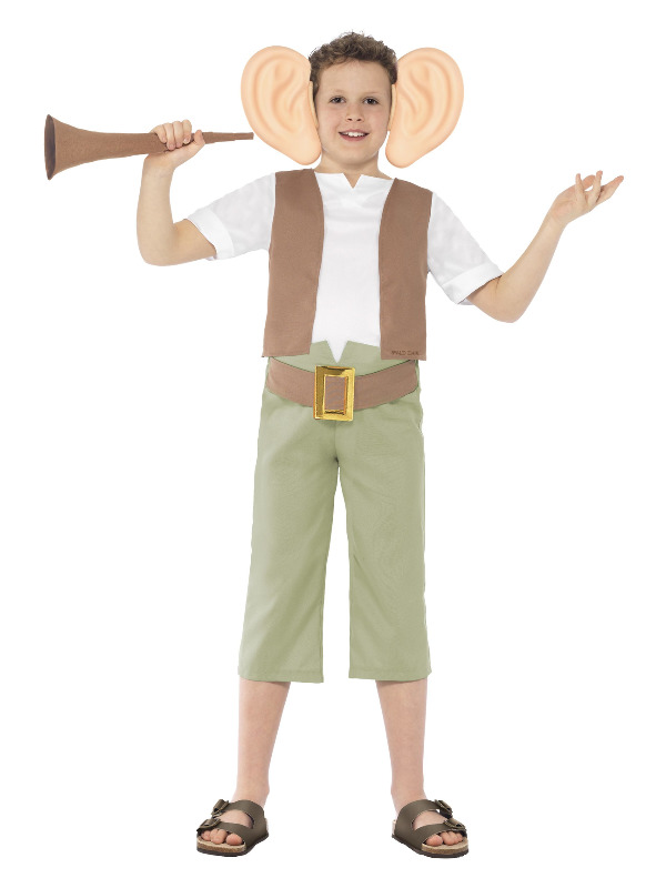 Roald Dahl The BFG Costume, Green