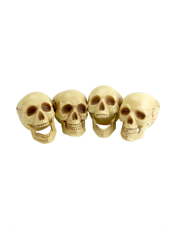 Skull Heads, Natural, 4 Pieces, 16cm Tall