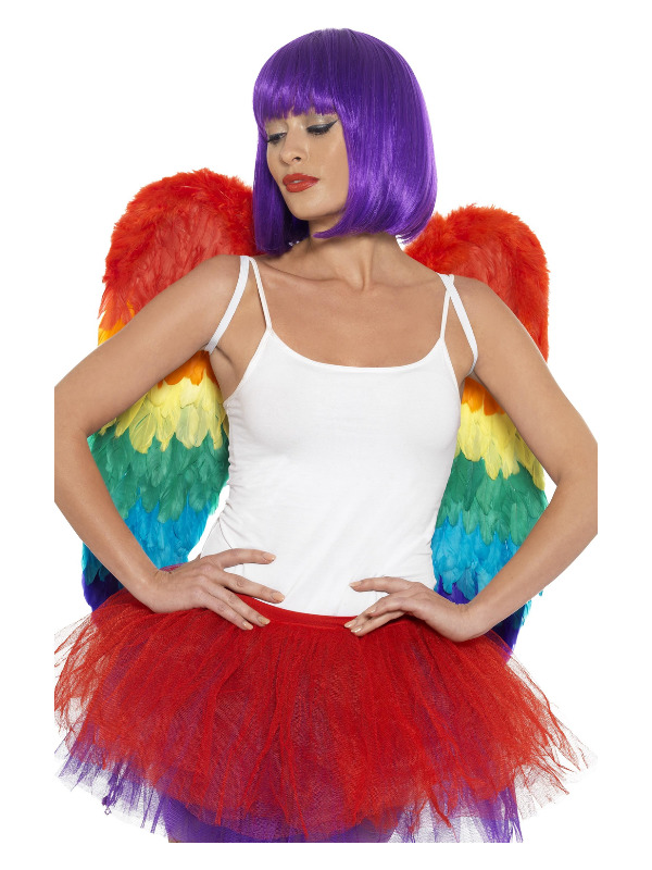 Feather Wings, Rainbow, 60cm x 60cm