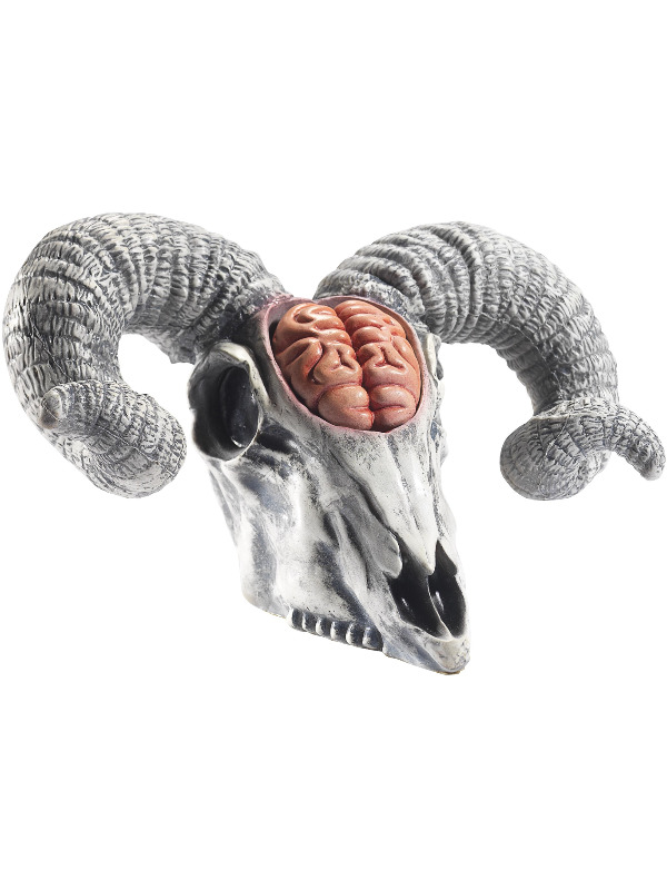 Latex Rams Skull Prop with Exposed Brain, Natural, 33x20x19cm/13x8x7in