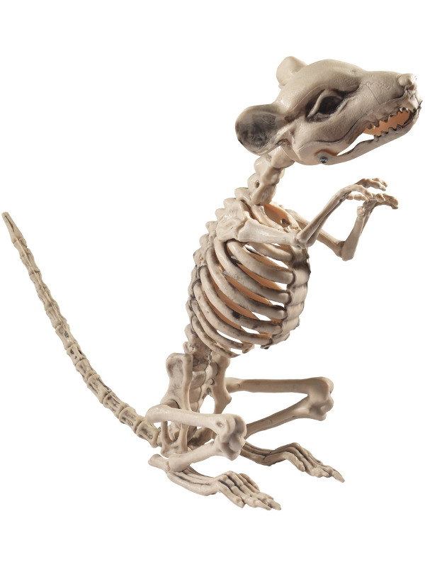 Rat Skeleton Prop, Natural, 9x28x33cm / 4x11x13in