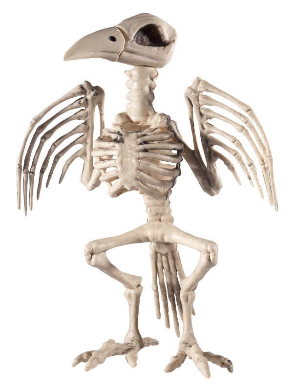 Raven Skeleton Prop, Natural, 21x20x30cm / 8x8x12in