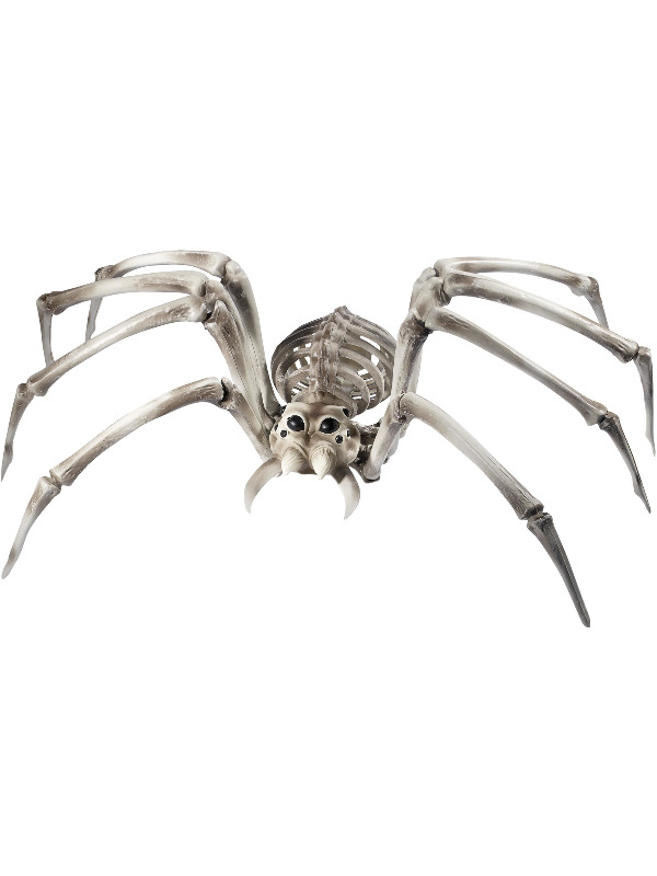Spider Skeleton Prop, Natural, 22cmx48cmx82cm / 9inx19inx32in