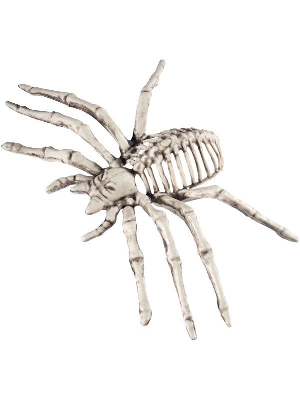 Small Spider Skeleton Prop, Natural, 22x13x6.5cm / 9x5x3in