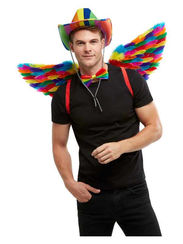 Rainbow Feather Wings, Multi-Coloured, 80cm/31in
